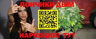 сатива Лесосибирск
