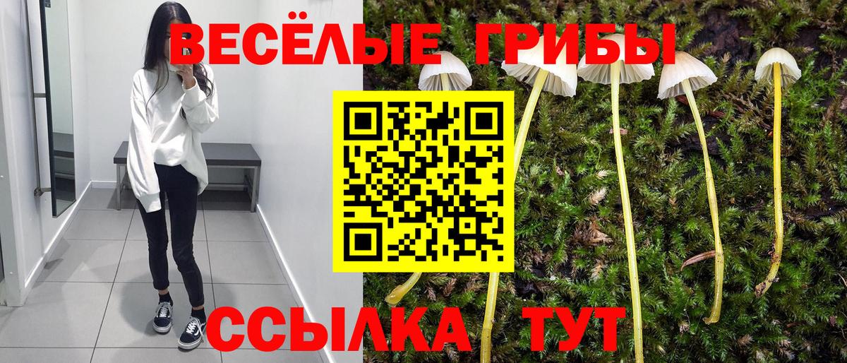 Удомля  Псилоцибиновые грибы мицелий  Вход с VPN 